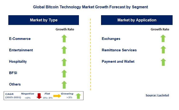 Bitcoin Technology Market by Segment